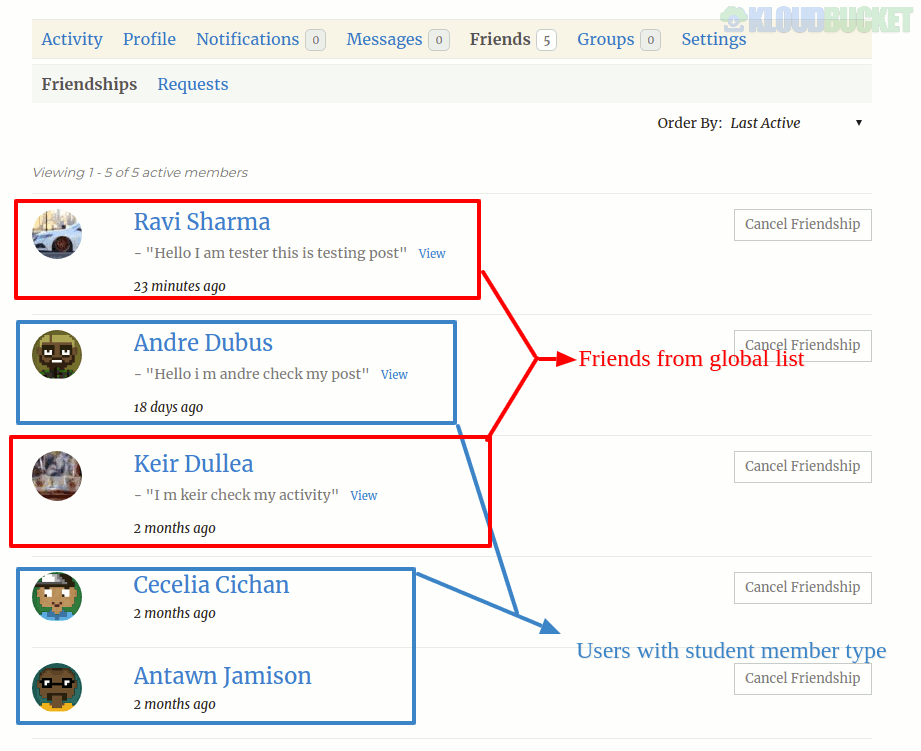 BuddyPress Auto Friendship Pro 1.2.6