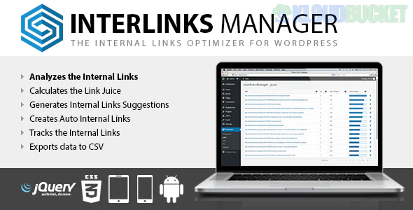 Interlinks Manager WordPress Plugin 1.41