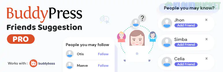 BuddyPress Friends Suggestions Pro 1.1.3