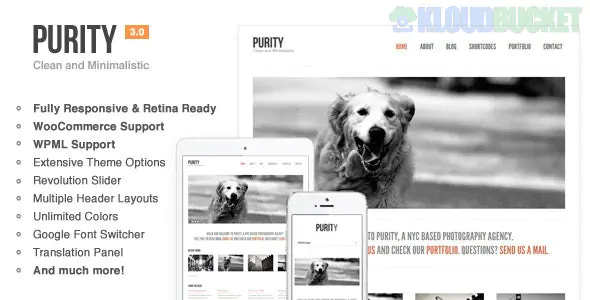 Purity - Responsive, Minimal & Bold WP Theme 4.5.1