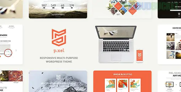 Pixel | A Modern Multi-Purpose WordPress Theme 1.2