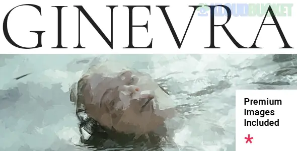 Ginevra - Artist Portfolio WordPress Theme 1.1