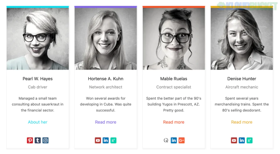 Team Members PRO by WP Darko 5.3.1