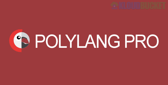 Polylang Pro 3.6.6