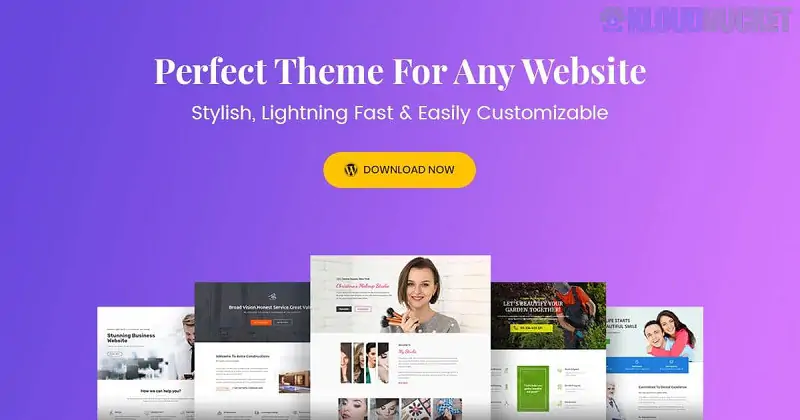 Astra Theme - Everything You Need to Build Stunning Website 4.11.10