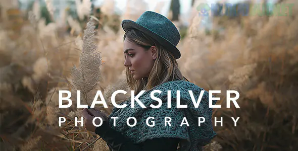 Blacksilver Theme Photography Theme for WordPress 9.6