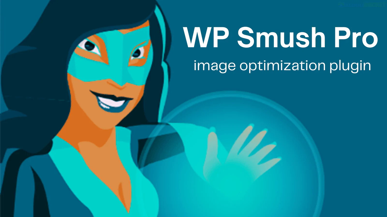 WPMU DEV WP Smush Pro 3.17.1