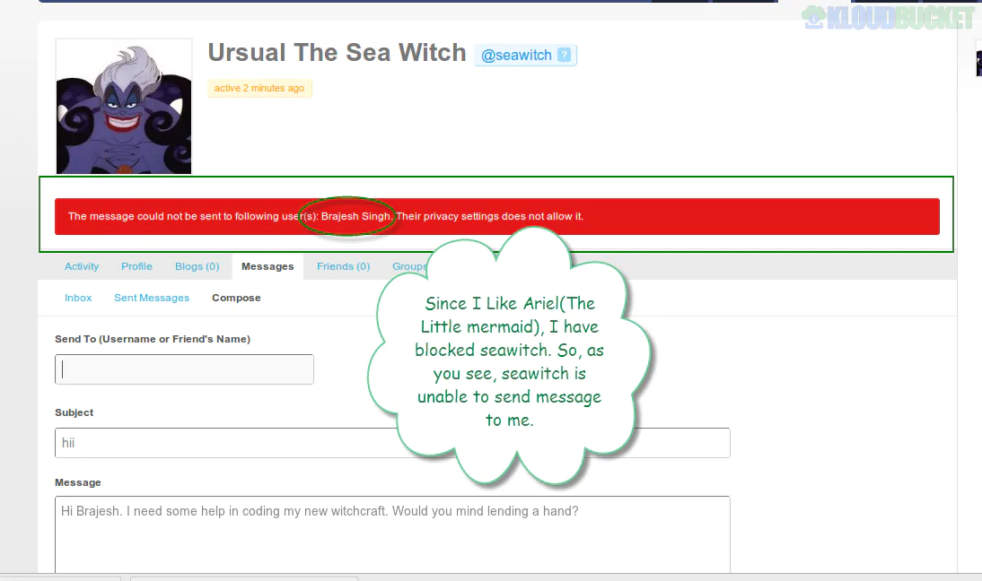 BuddyPress Message Privacy 1.2.9