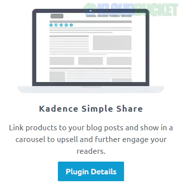 Kadence Simple Share Plugin 1.2.12