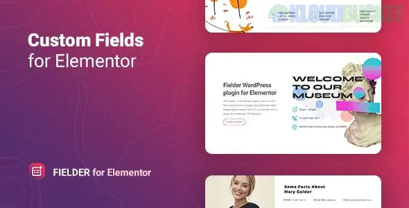 Fielder - WordPress Custom Fields for Elementor 1.1.1