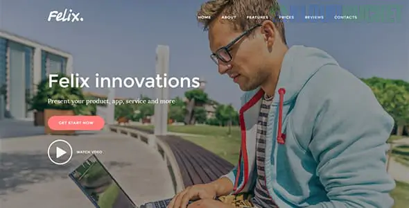 Felix. - Startup Landing Page WordPress Theme 1.0.2