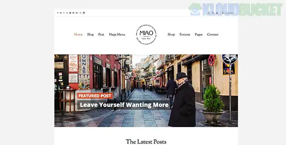Miao - Fashion Magazine, News & Blog WordPress Theme 1.1.2