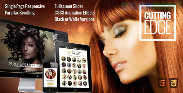 Cutting Edge - Spa Hair Salon WooCommerce WP Theme 1.0.2