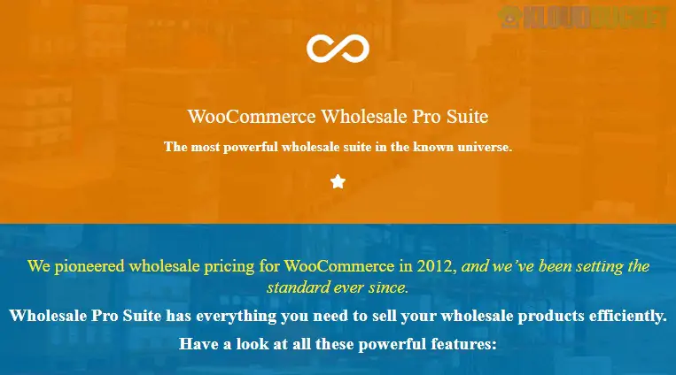 WooCommerce Wholesale Pro Suite By IgniteWoo 4.0.20