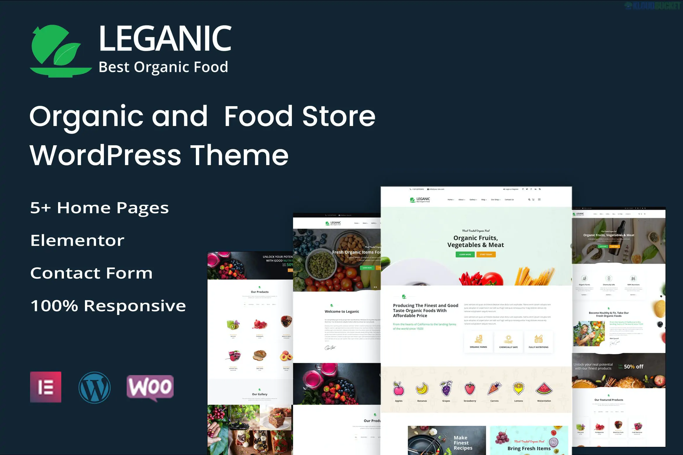 Leganic - Organic and Food Store WordPress Theme 1.8