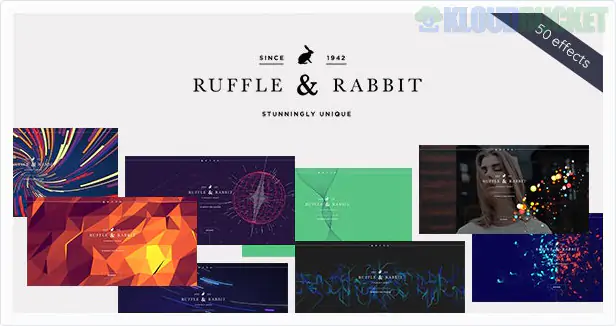 Rabbit - Exclusive Coming Soon WordPress Theme 6.0.1
