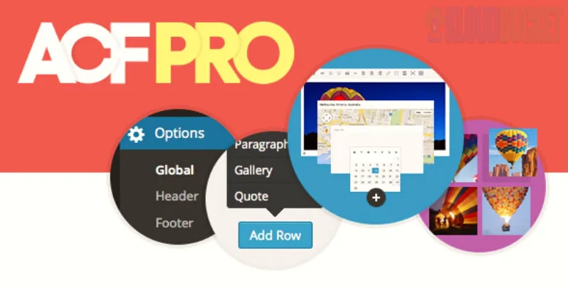 Advanced Custom Fields (ACF) Pro 6.3.12