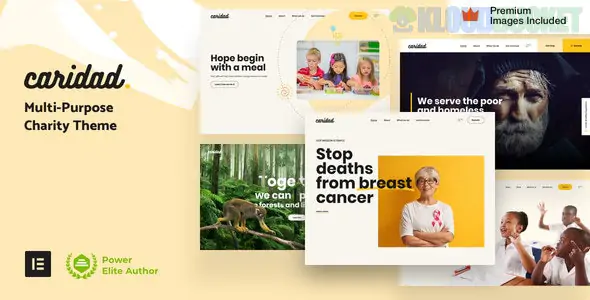 Caridad - Charity WordPress Theme 28.0