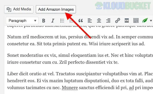 AMZ Image - Fastest Way To Insert Amazon Product Images in WordPress