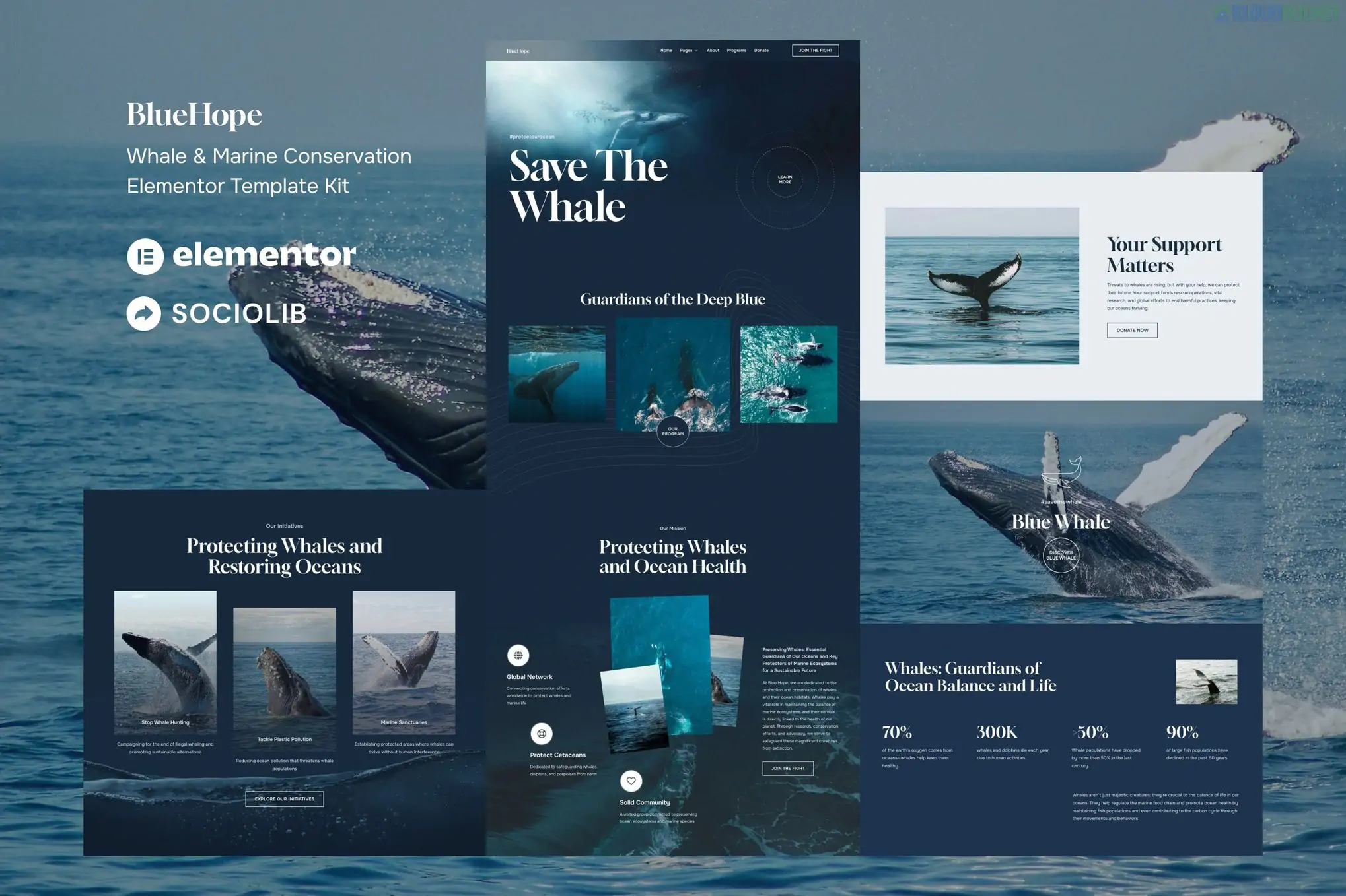 BlueHope - Whale & Marine Conservation Elementor Template Kit 3.2.1