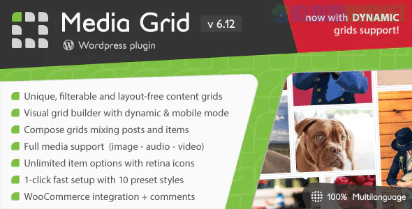 Media Grid - Wordpress Responsive Portfolio Plugin (Bundle Pack) 8.5.0