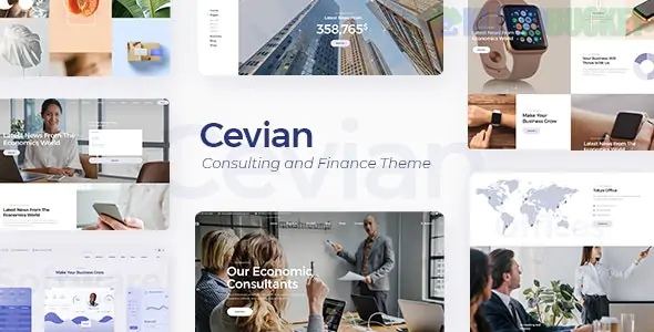 Cevian - Consulting and Finance Theme 1.2