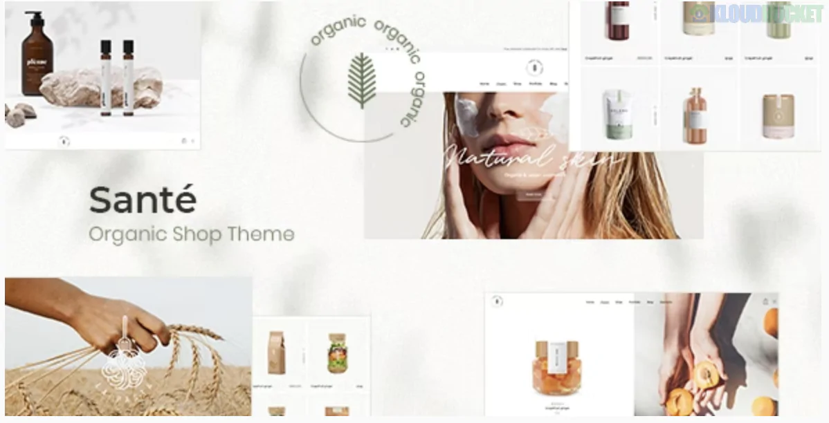 Santé - Organic Shop WordPress Theme 1.5.1