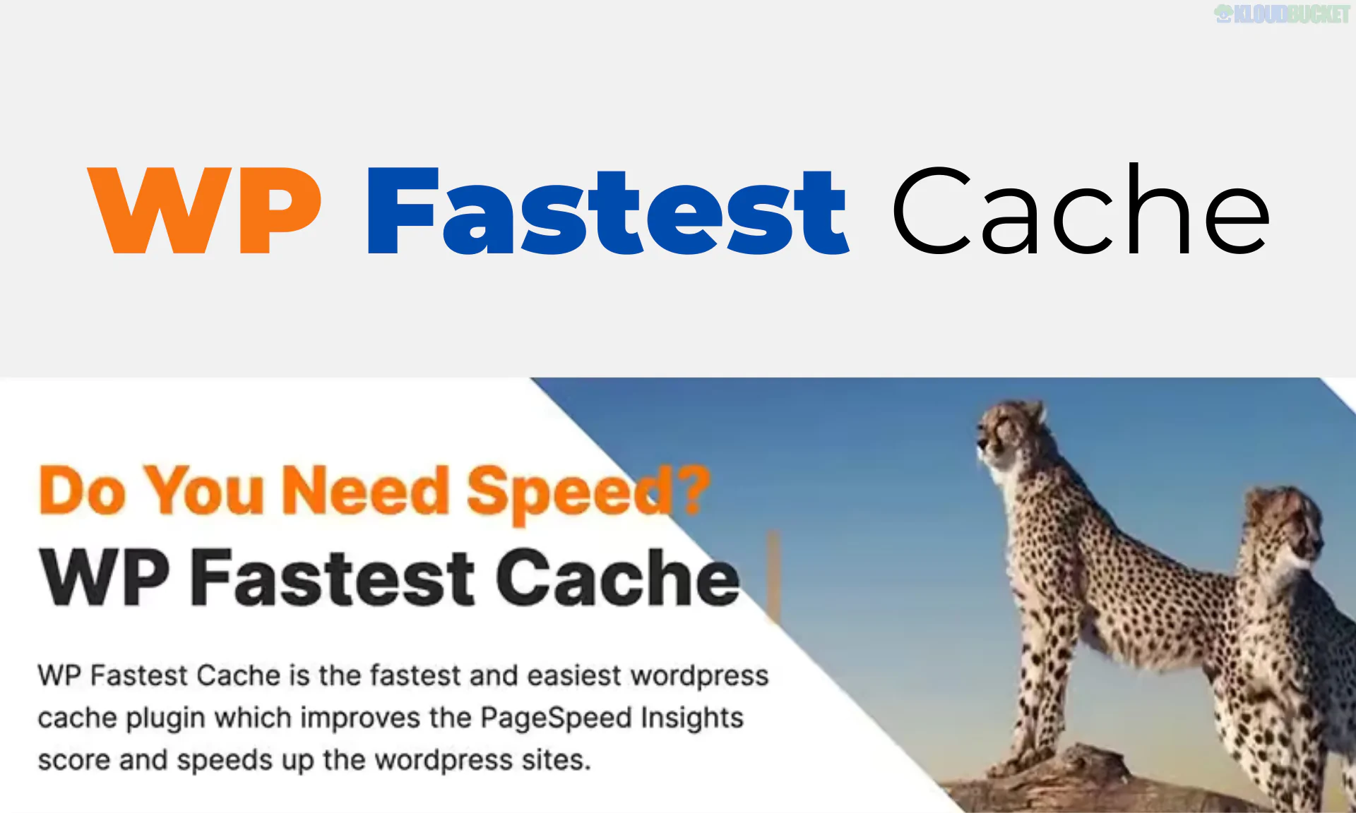 WP Fastest Cache Premium WordPress Plugin 1.7.2