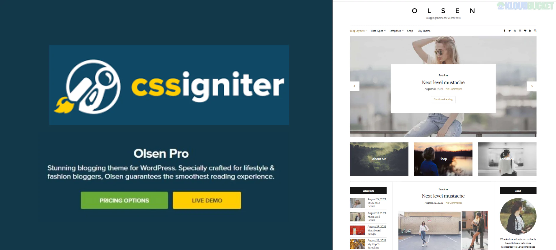 CSS Igniter Olsen Pro WordPress Blogging Theme 2.8.5