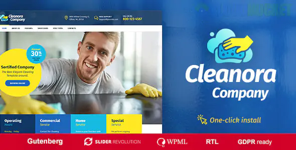 Cleanora | Cleaning Services WordPress Theme 1.2.4