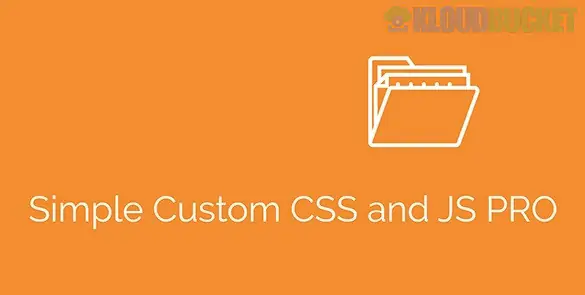 Simple Custom CSS and JS PRO 4.41.1