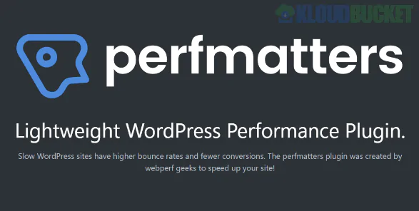 Perfmatters WordPress Performance Plugin 2.3.9