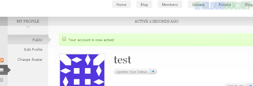 BuddyPress Auto Activate  Autologin Redirect To Profile On Signup 1.5.8