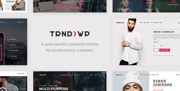 Trendy - Creative Multi-Purpose WordPress Theme 1.6.5