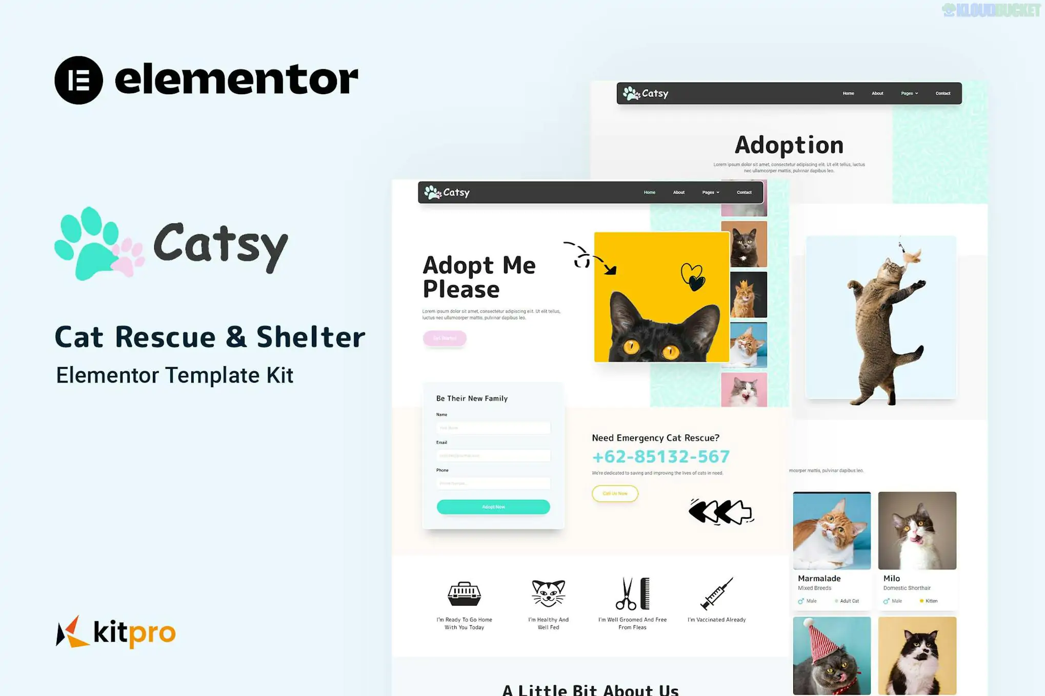 Catsy - Cat Rescue & Shelter Elementor Template Kit 2.1.1
