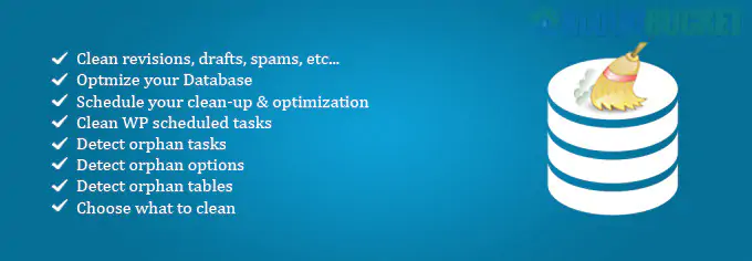 WordPress Advanced Database Cleaner Pro 3.2.11