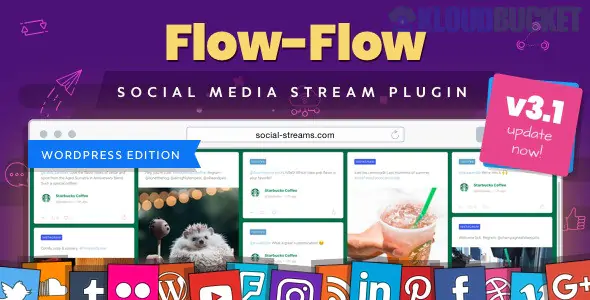 Social Stream for WordPress - Add Facebook Instagram Twitter Youtube Feed 4.9.72