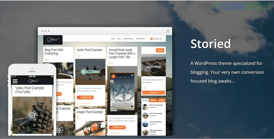 Thrive Themes Storied WordPress Theme 2.11.1