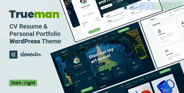 Trueman - Personal Portfolio WordPress Theme 1.3.1