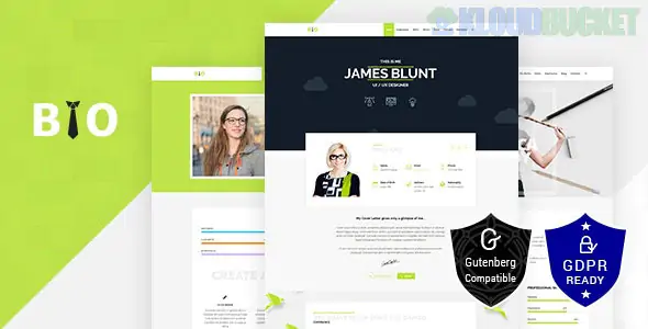 BIO - Resume, CV, Freelancer WordPress Theme 1.7
