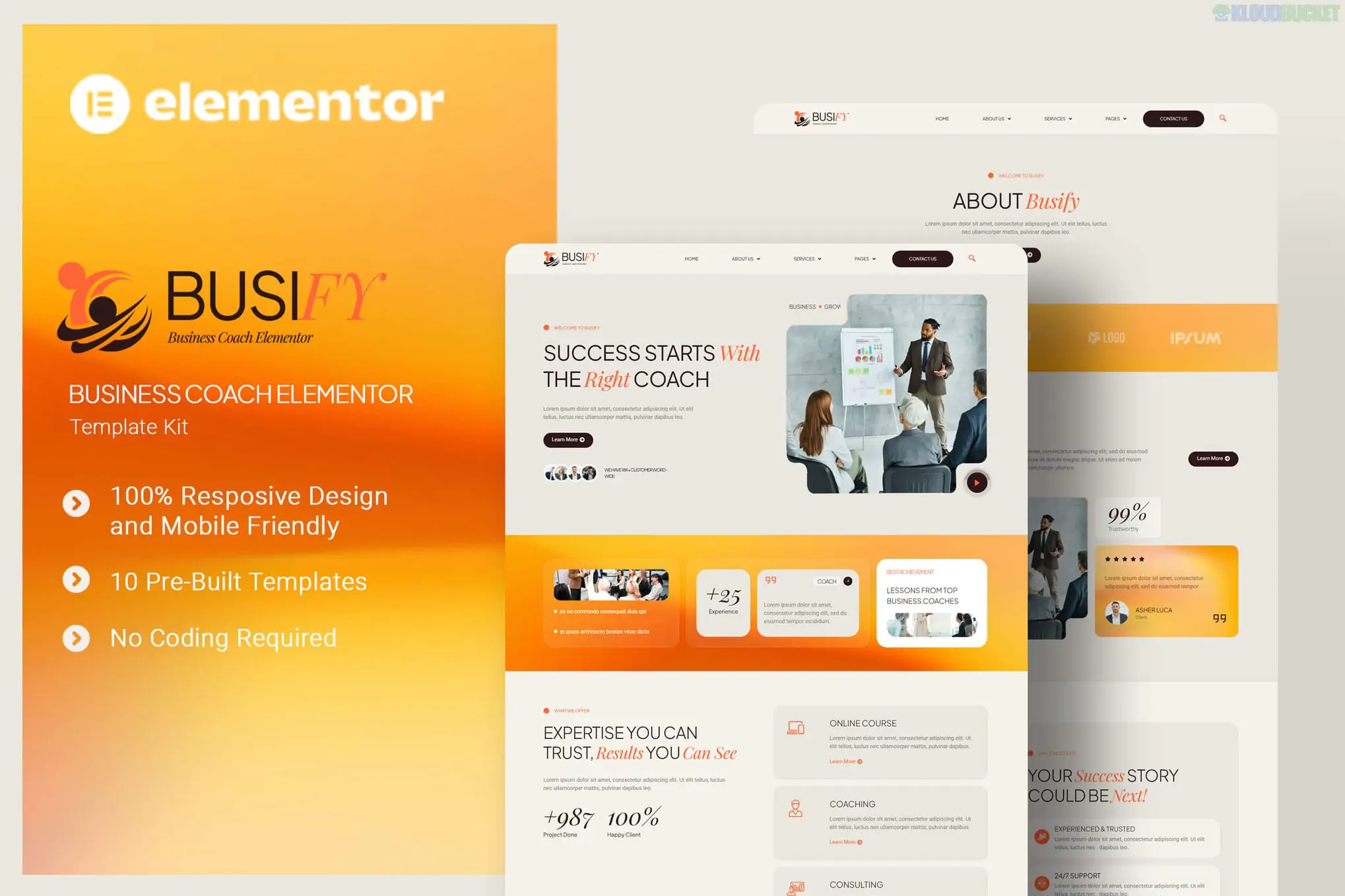 Busify - Business Coach Elementor Template Kit 1.2.1
