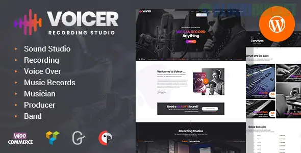 Voicer - Recording Studio WordPress Theme 1.0
