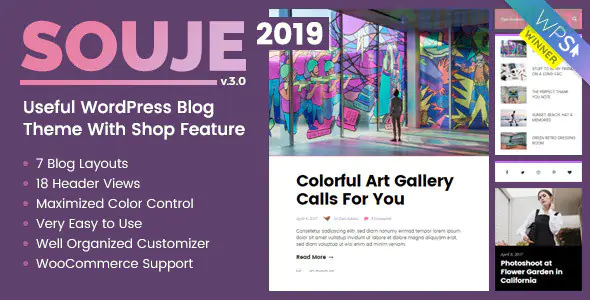 Souje - Personal WordPress Blog Theme 5.0.6