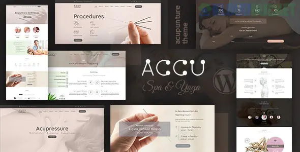 Accu - Healthcare, Massage WordPress Theme 3.6