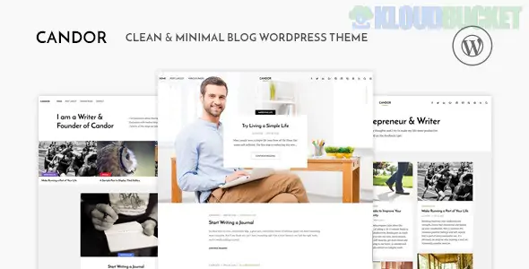 Candor - Responsive WordPress Blog Theme 1.1.5