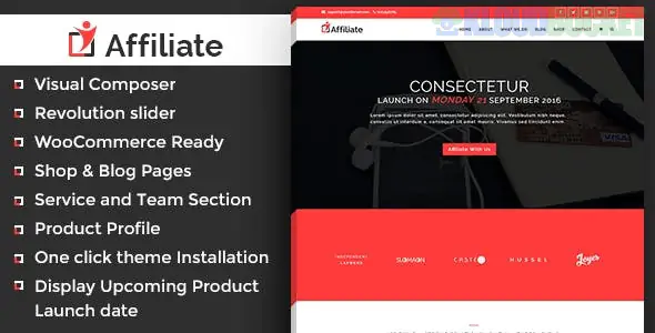 Affiliate Marketing WordPress Theme 1.1
