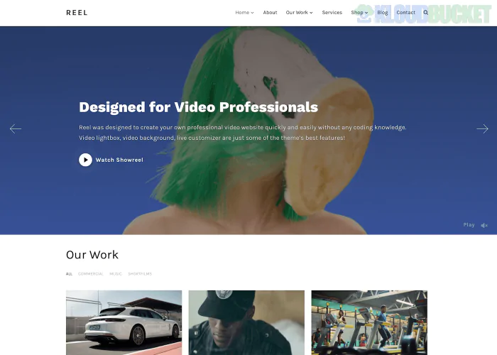 Reel - WPZoom WordPress Theme 3.0.6