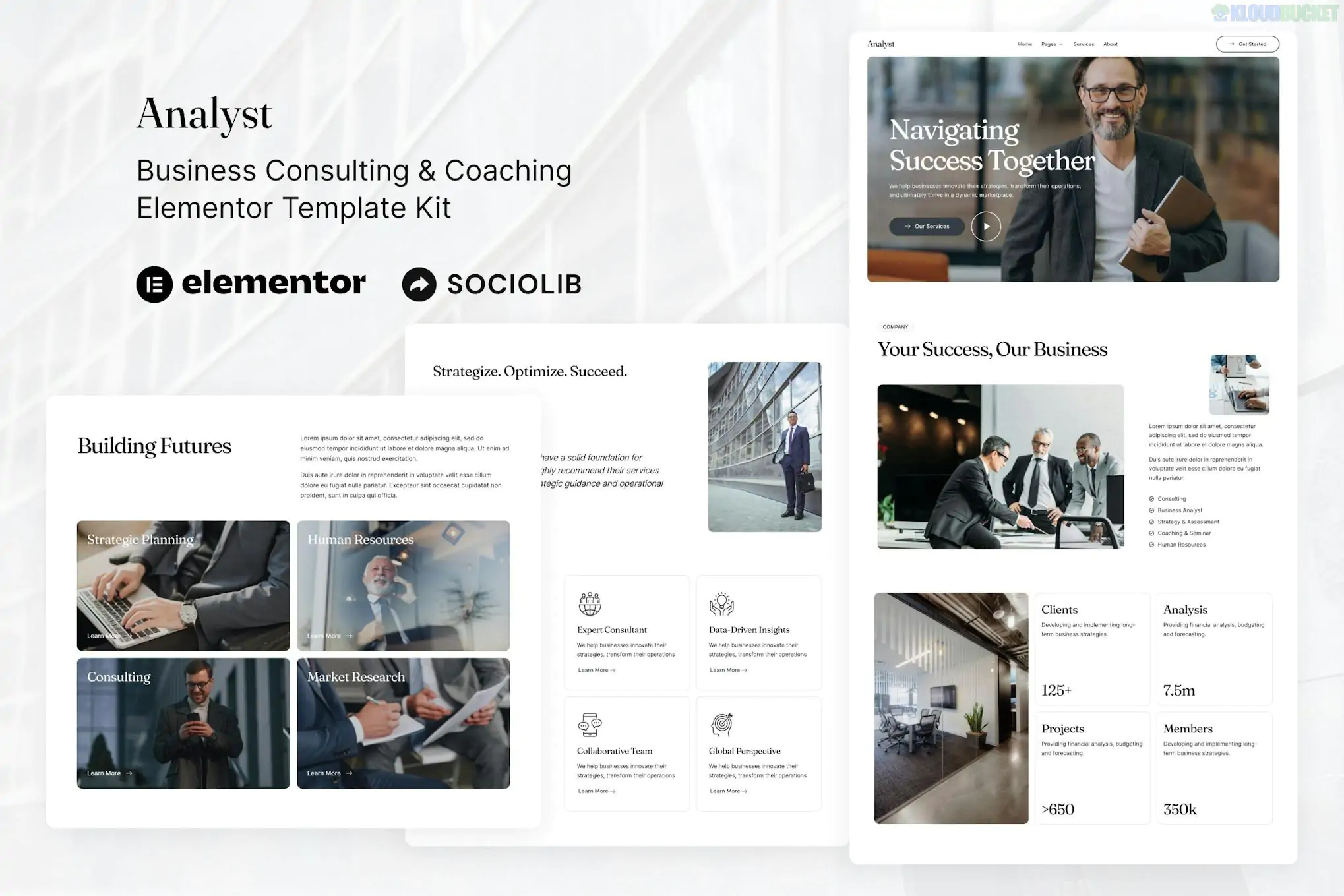 Analyst - Business Consulting & Coaching Elementor Template Kit 1.1.1