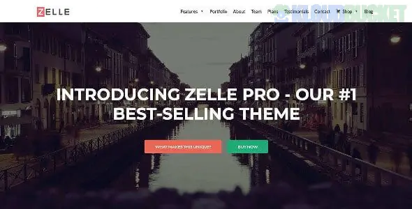 Zelle Pro - Modern Responsive WordPress Theme 2.1.6