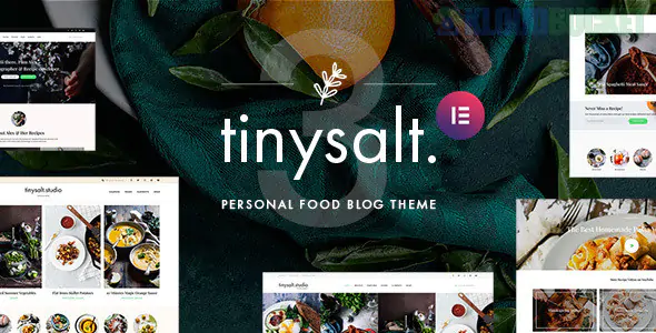 TinySalt Theme | Personal Food Blog WordPress Theme 3.2.0